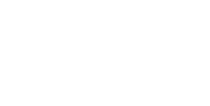 BSI